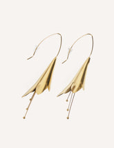 Pendientes cala